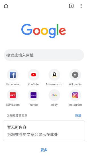 谷歌浏览器Google Chrome介绍图