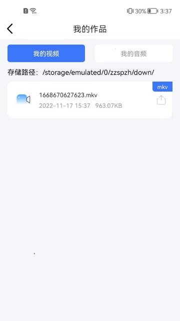 转转大师视频格式转换介绍图