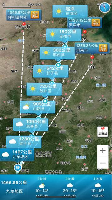 爱鸽者介绍图