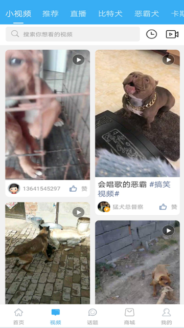 猛犬俱乐部介绍图