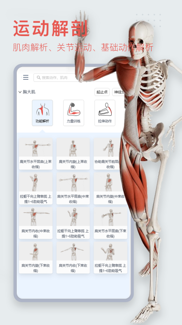 3DBody解剖介绍图