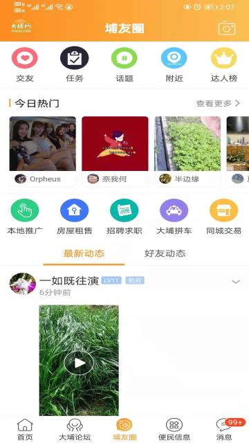 大埔网介绍图