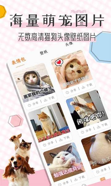 猫语翻译宝介绍图