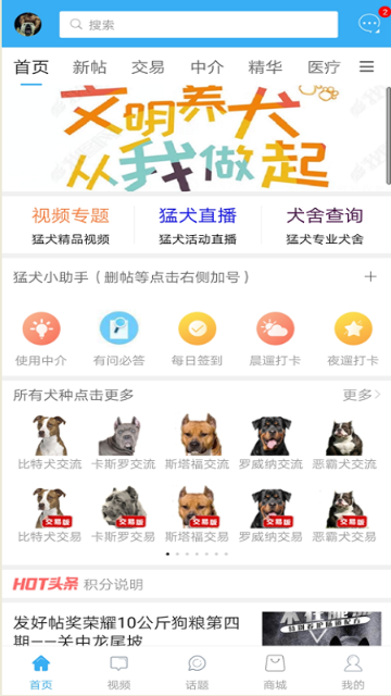 猛犬俱乐部介绍图