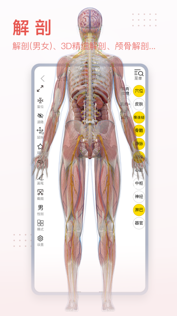 3DBody解剖介绍图