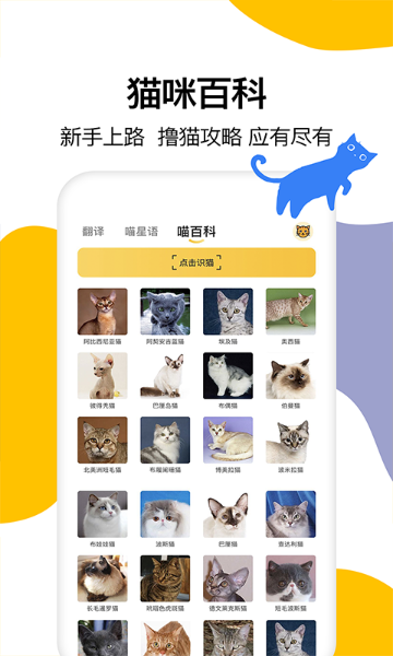 猫语翻译介绍图