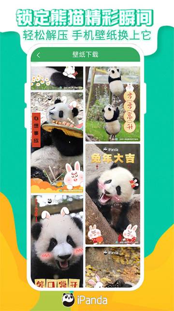 熊猫频道介绍图