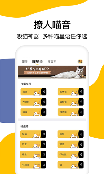 猫语翻译介绍图