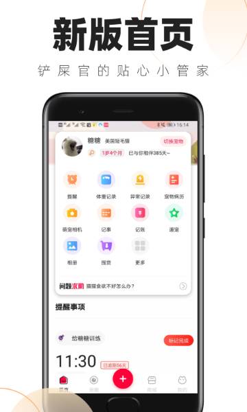 铲屎官的日常介绍图