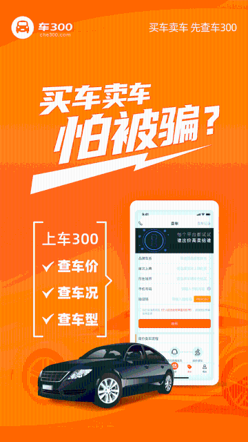 车300二手车介绍图